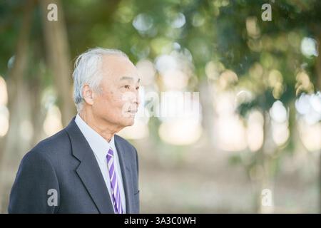 A park on a pleasant spring daytime with plenty of greenery in Japan. A Japanese man in his late 70s wearing a suit stands up. Stock Photo