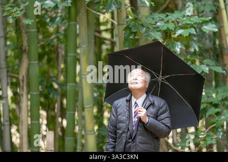 A bamboo forest on a rainy day in Japan, with plenty of greenery in spring. A Japanese man in his late 70s is standing in a suit and a down jacket. He Stock Photo