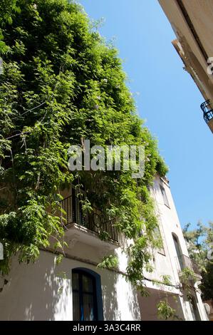 House covered with ivy and flowers in old Sitges, Garraf Coast, Barcelona, Spain Stock Photo