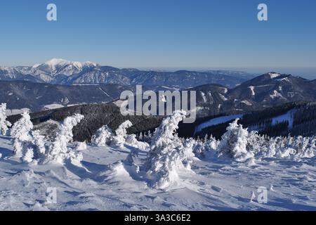 Snow-covered icy mountain pines trees. Great long distance view to alpine valleys and summit of mountain Schneeberg in background against  blue sky. Stock Photo