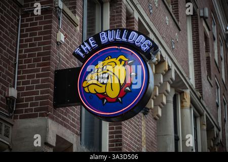 Amsterdam, the Netherlands. 16 March 2024. The Bulldog neon logo sign Amsterdam. The Bulldog was the first coffeeshop in Amsterdam and laid the benchm Stock Photo