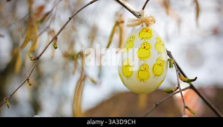 Colourful Easter egg with cute yellow chicks painted by a child hanging on birch branches with buds and lambs. Simple DIY Easter creative idea. Stock Photo