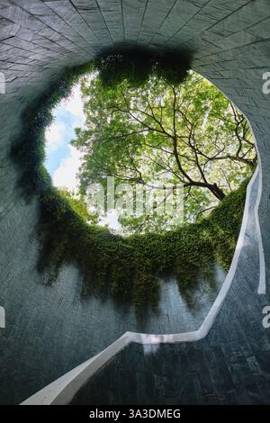 Singapore - August 18, 2024: The tree over tunnel walkway at Fort Canning Park and Penang road Stock Photo