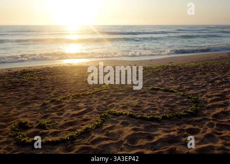Beach scene at sunrise with heart shape of seaweeds on the sand, in Vama Veche, Romania Stock Photo