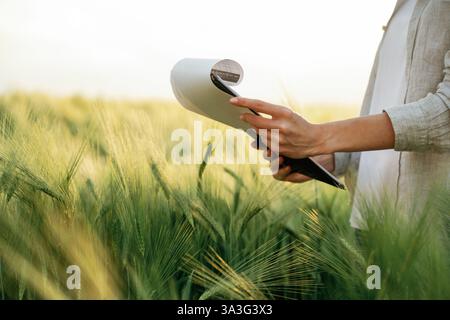 Side view, holding notepad with documents. Woman in white is on the agricultural wheat field. Stock Photo