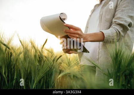 Side view, holding notepad with documents. Woman in white is on the agricultural wheat field. Stock Photo