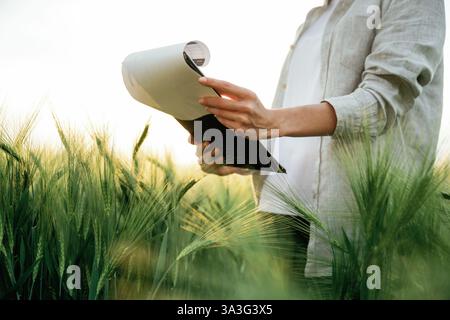 Side view, holding notepad with documents. Woman in white is on the agricultural wheat field. Stock Photo