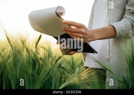 Side view, holding notepad with documents. Woman in white is on the agricultural wheat field. Stock Photo