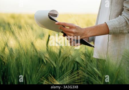 Side view, holding notepad with documents. Woman in white is on the agricultural wheat field. Stock Photo