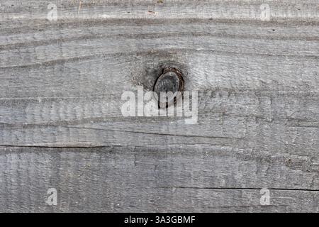 Rustic wooden texture with knothole Stock Photo
