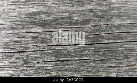 Gray wood texture with grain Stock Photo