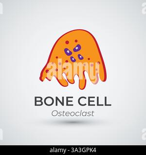 Bone Cell Osteoclast Logo Vector Illustration Stock Vector