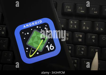 The logo of the Android 16 is displayed on a smartphone screen Stock Photo