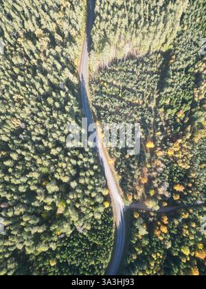 Aerial view of Road Through Lush Green Forest in early Autumn Stock Photo