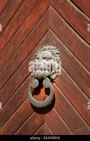 The lion door knocker Stock Photo