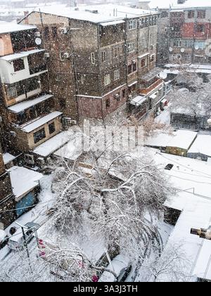 top view of snow-covered tree in urban yard in snowfall on winter day in Yerevan city, Armenia Stock Photo