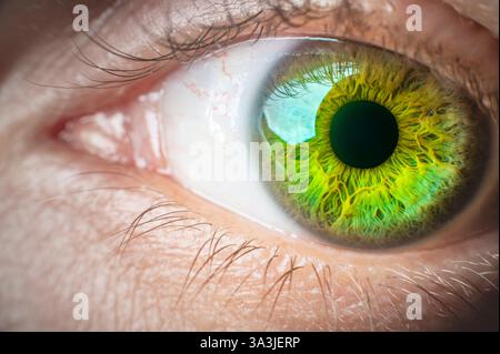 macro photography eye detailed iris close up studio shot neon colors predominantly yellow green Stock Photo