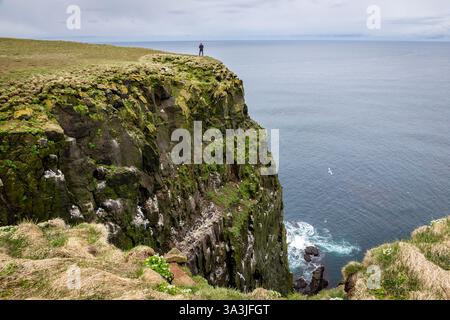 Latrabjarg cliffs in Westfjords, Iceland, largest sea bird cliff in Europe with a person standing on top and seabirds flying around. Stock Photo