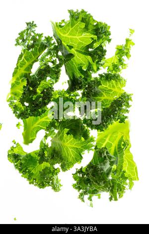 Fresh green kale leaves on white background Stock Photo