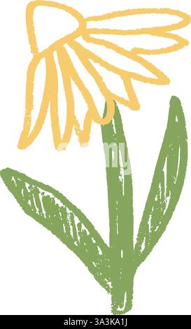 Chamomile flower crayon drawn. Spring plant doodle isolated on white background. Summer floral kids element. Chalk or pastel style childish scrawl wil Stock Vector