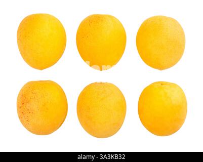 apricots path isolated on white Stock Photo