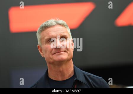 David Coulthard, British former racing driver broadcaster Scotland, Formula One from 1994 to 2008. Coulthard runner up Formula One Championship 2001 Stock Photo