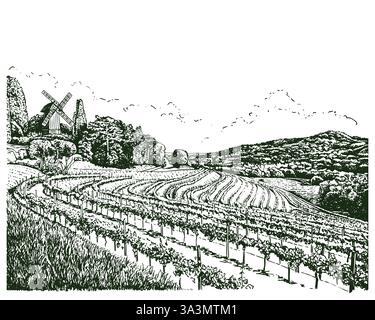 Vintage sketch illustration of vine farm. Stock Vector