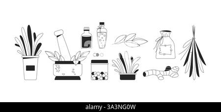 Herbal medicine and natural remedies 2D line objects set Stock Vector