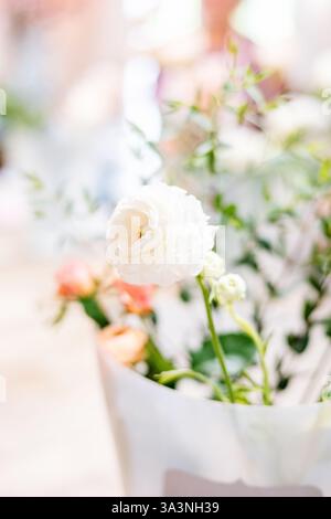 Delicate white rose in soft-focus floral arrangement. Stock Photo