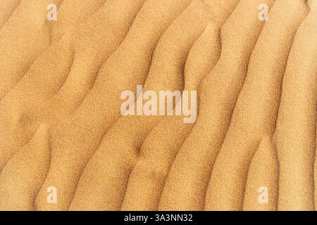 Close up view capturing wind shaping intricate patterns on sand dunes, revealing stunning natural textures under golden sunlight Stock Photo