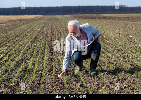 A farming expert crouches in a spring field, carefully assessing the growth of young crops while taking notes on the condition of the soil Stock Photo