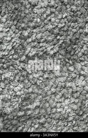 Rough cast of concrete and cement coating on the wall as background Stock Photo