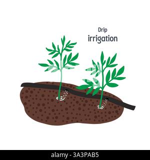 Drip irrigation for garden isolated on white background. Vector illustration Stock Vector