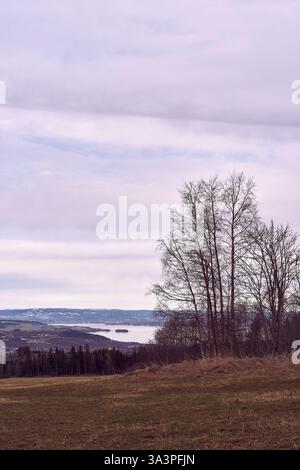 Lake Mjøsa seen from Holmstadsveen Stock Photo - Alamy
