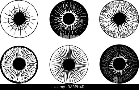 Closeup view of human eye pupils with different colors isolated on ...
