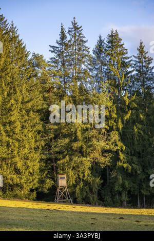 Ladscape of an Edge of the forest with a hunting stand, Lengenbach, Deining, Upper Palatinate, Bavaria, Germany, Europe Stock Photo