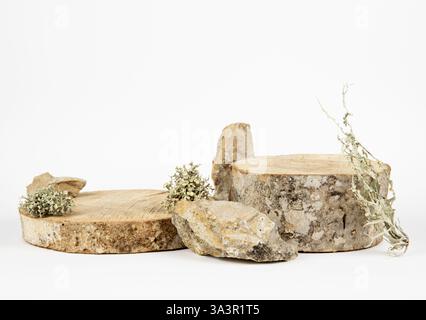 Wood discs podium for products background decorated with moss, lichen, stones, empty white background, studio shot, minimal nature style. Stock Photo