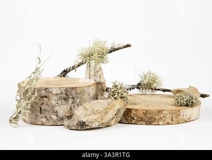 Wood discs podium for products background decorated with moss, lichen, stones, empty white background, studio shot, minimal nature style. Stock Photo