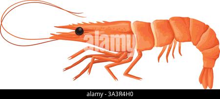 Cartoon shrimp. Raw or boiled seafood, tiger shrimps meat, king prawns without shell flat vector illustration icon. Ocean shrimps collection on white Stock Vector