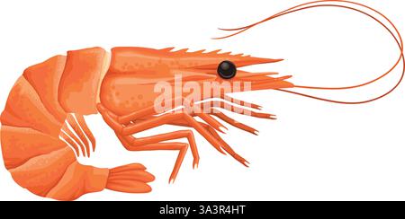 Cartoon shrimp. Raw or boiled seafood, tiger shrimps meat, king prawns without shell flat vector illustration icon. Ocean shrimps collection on white Stock Vector