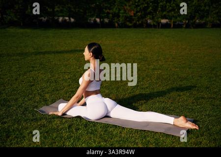 On the yoga mat, exercises. Attractive young fitness woman is on the green grass at daytime. Stock Photo