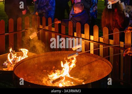 Fawkes Festival, The Highland Centre, Edinburgh, toasting marshmallows Stock Photo