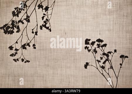 Abstract neutral background. A silhouette from dry herbs behind a cotton fabric. Shadows of branches on beige background, copy space. Stock Photo