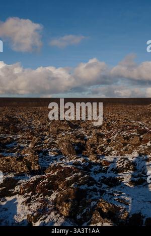 An upright landscape of the dried lava filed near to Blue Lagoon area of Iceland showing moss and plant growth on the lava and the protective wall Stock Photo