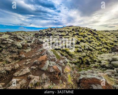 Gonguleid um Eldhraun lava field covered in dense moss, Iceland Stock Photo