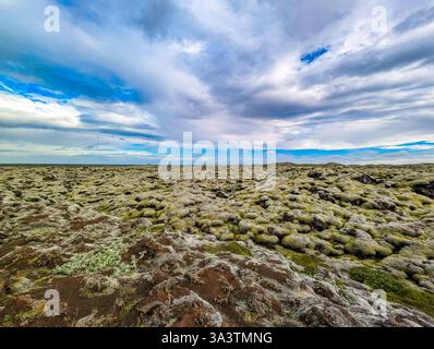 Gonguleid um Eldhraun lava field covered in dense moss, Iceland Stock Photo