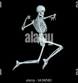 Illustration of a human skeleton in a dynamic fighting pose, showcasing ...