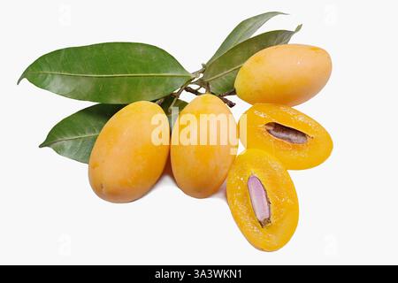 A ripe yellow marian plum or mayong chit fruit (Bouea macrophylla), sliced lengthwise, with exposed purple seed and 3 whole fruits, isolated on white Stock Photo