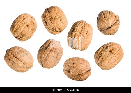 Walnuts group isolated on white background. Stock Photo