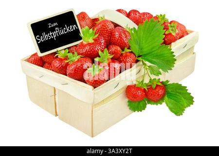 Strawberries and German self-picking label in a wooden basket isolated on white background Stock Photo